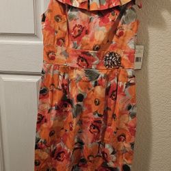 Jessica Howard - Dress Size 6 - Sleeveless with Shawl Collar - Back Zipper - lined at the top - New