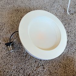 Recessed Downlight Retrofit Lights, 5-6 Inches, White