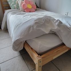 Twin Bed Frame And/or Mattress