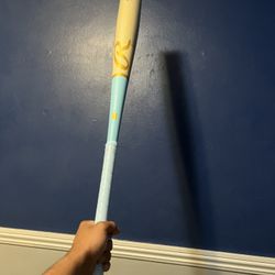 Brand New Rawlings Baseball Bat