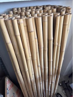 Bamboo fence