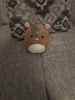 Small Armadillo Squishmallow 