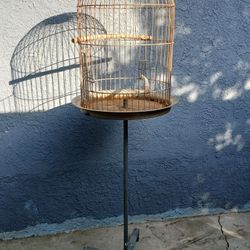 Cage for Birds