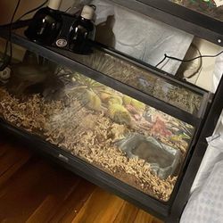 20 Gallon Tank 