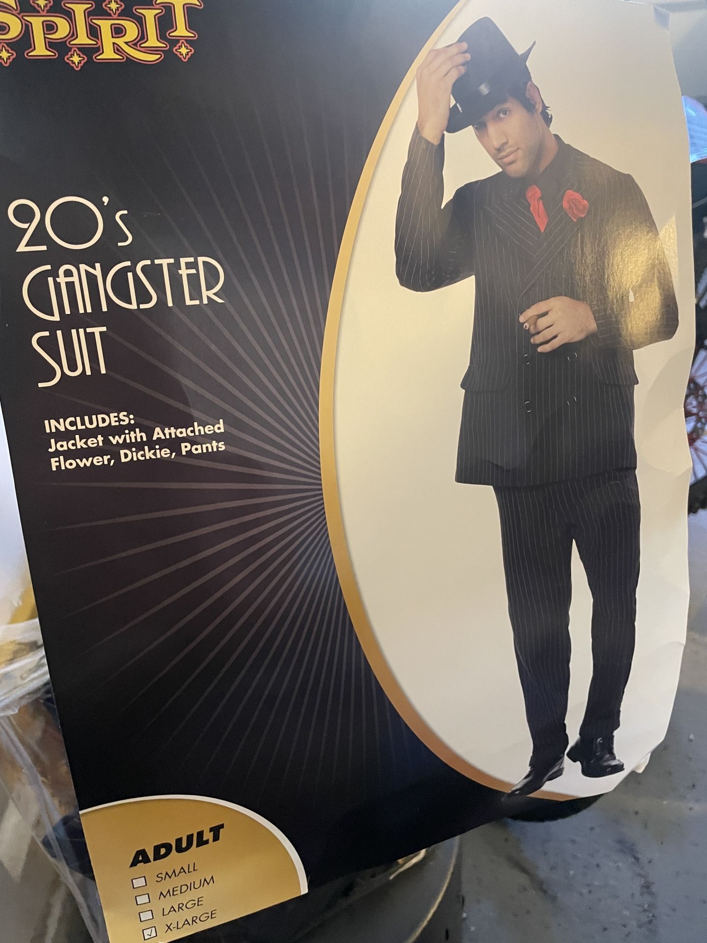 Halloween Costume