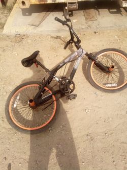 R e a l t r e e bike