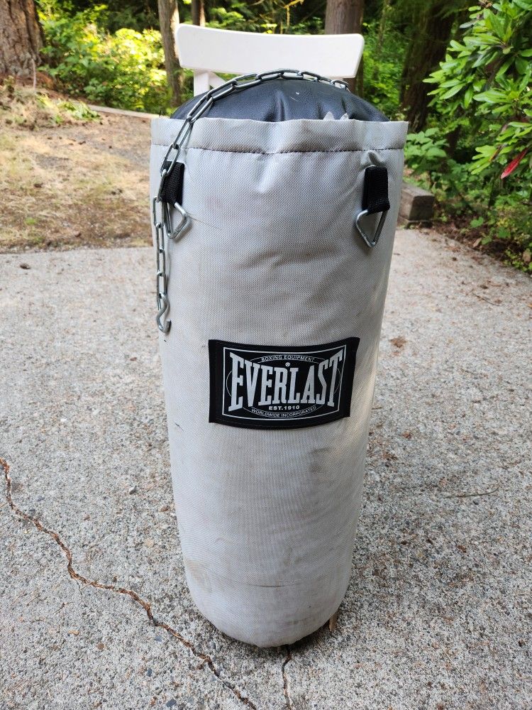 Everlast Boxing Bag