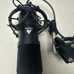 Pop, casting or recording microphone