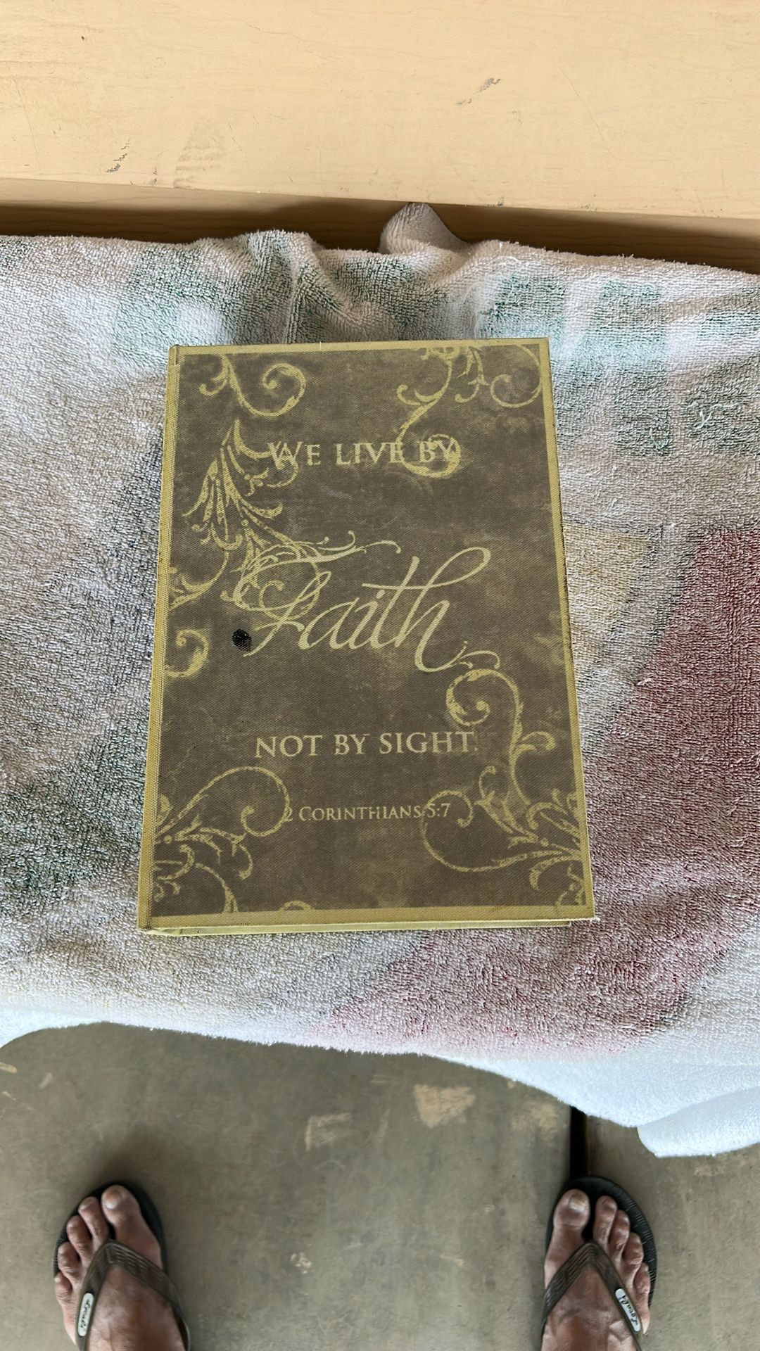 Secret Storage Book Safe