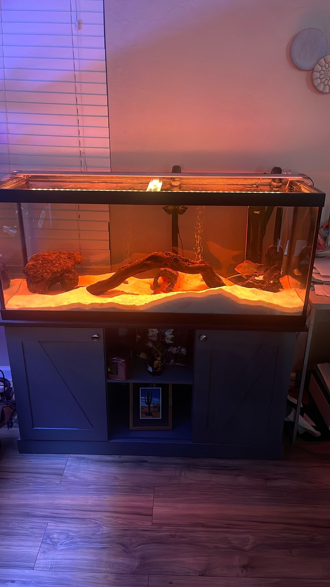 75 Gallon Aquarium Fish Tank