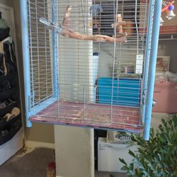 Large Parrot Cage