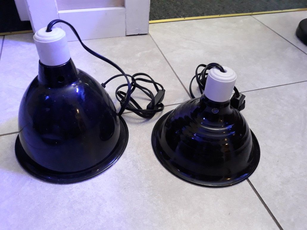 Reptile heat lamp