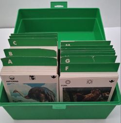 Illustrated Wildlife Treasury 500+ Animal Picture Story Cards