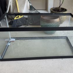 40 Gallon Tank