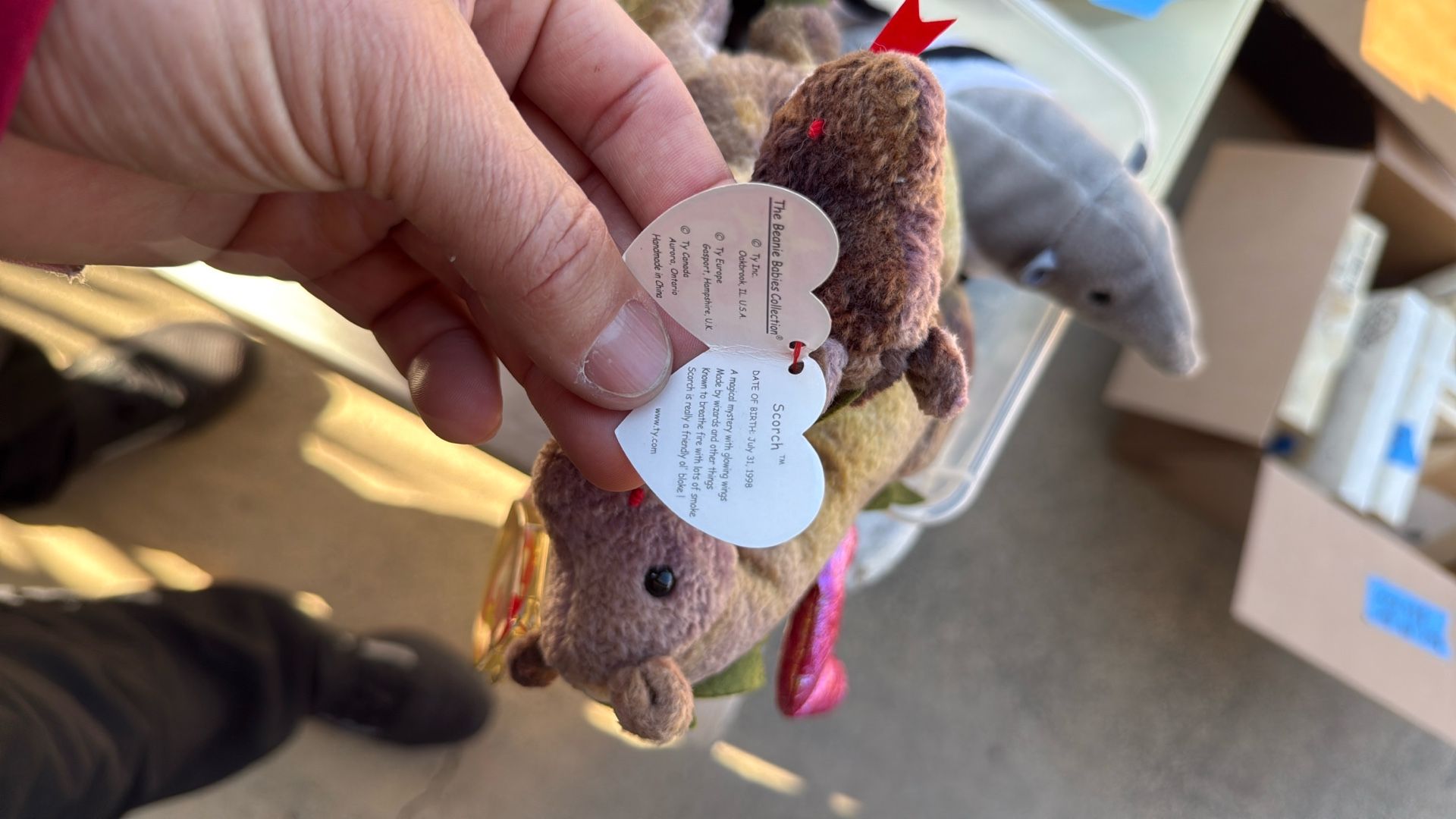Rare Beanie Babies With Errors
