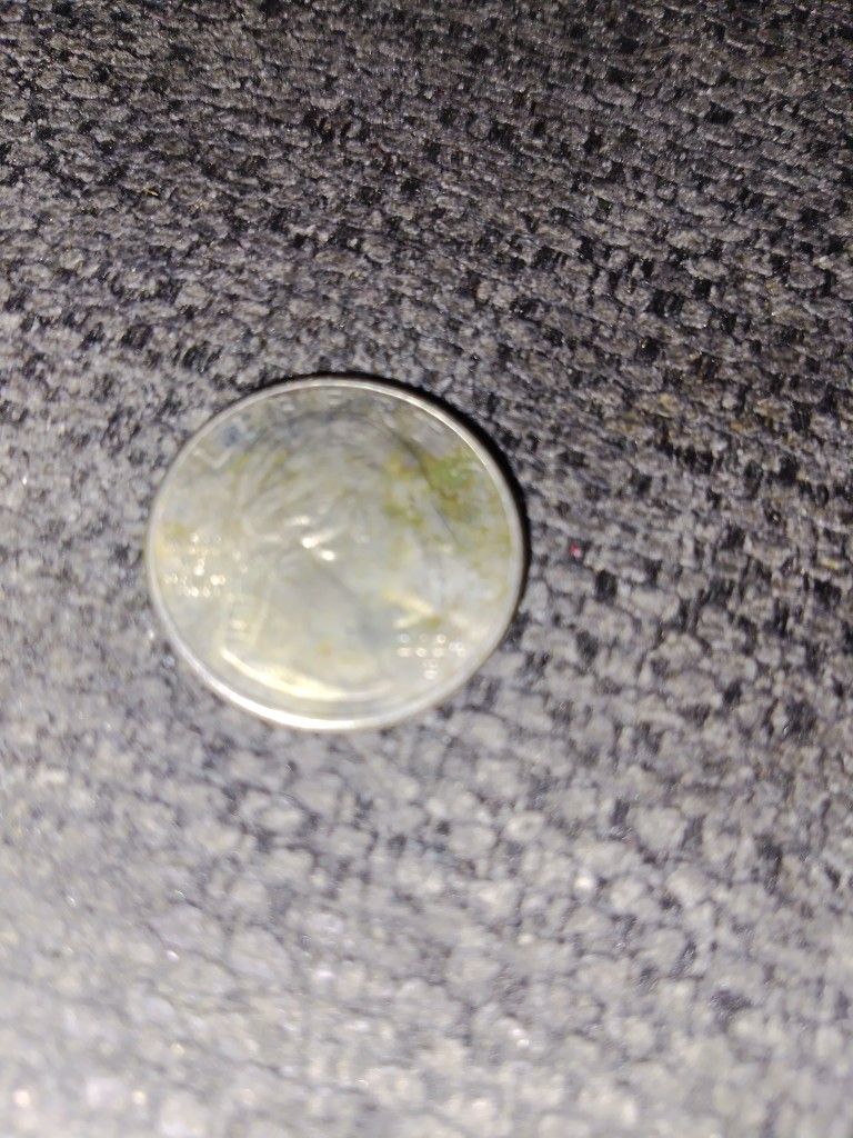 2024 Pauli Murray Quarter Error (In Cod We Trust )