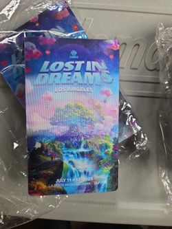Lost in dreams magnet