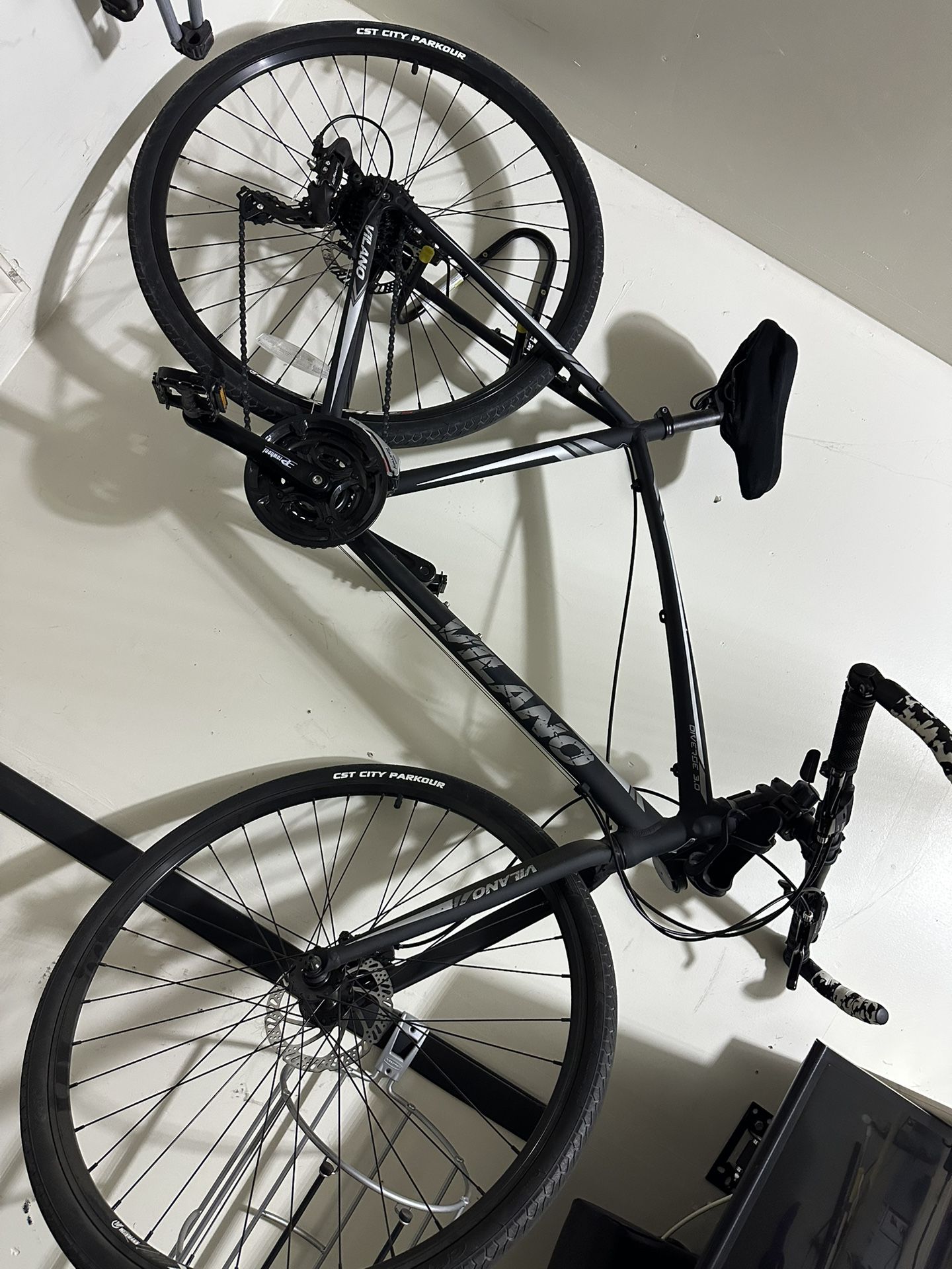 Hybrid Bike