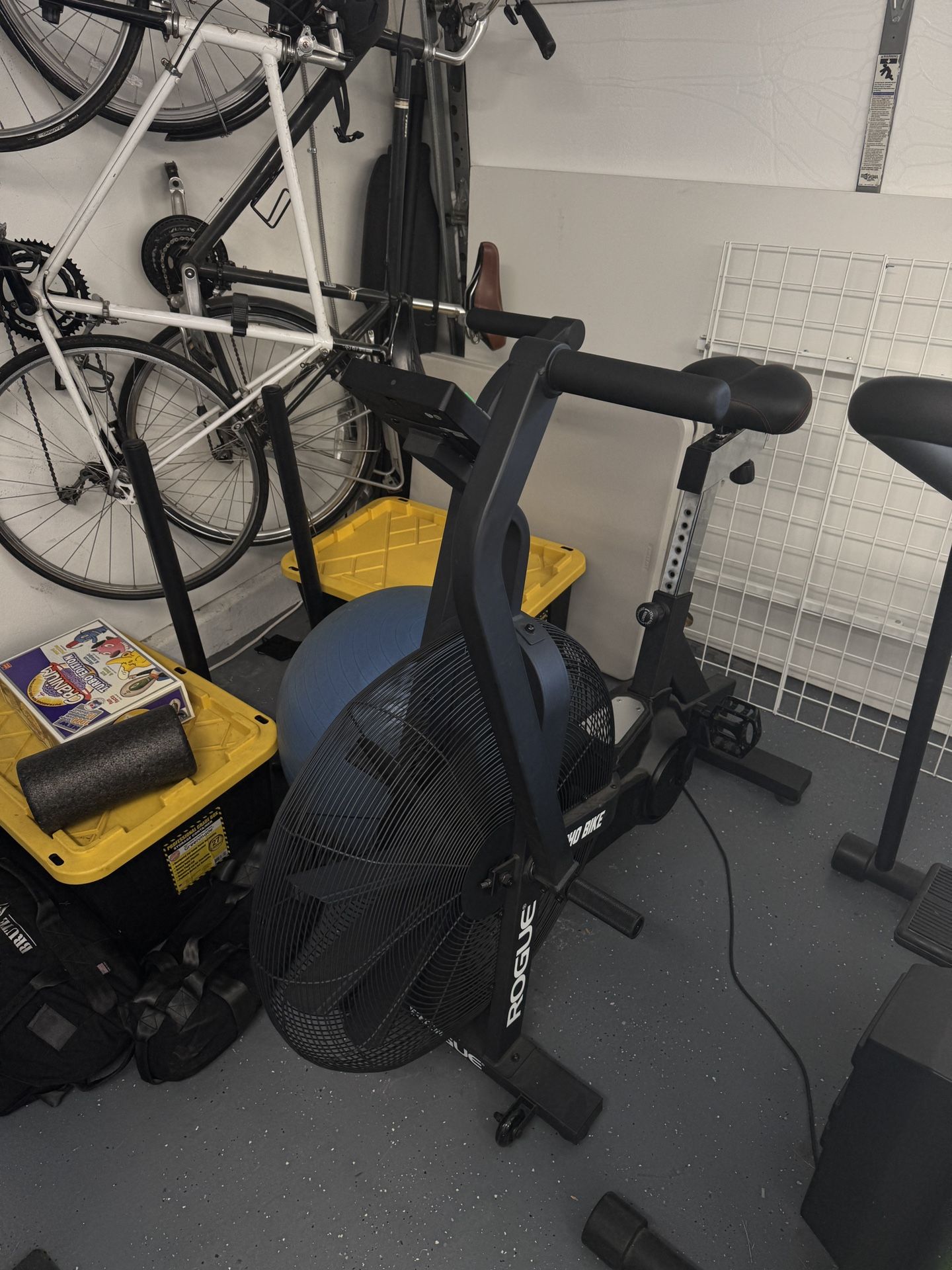 Rogue Echo Assault Bike