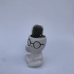 Little Guy Ceramic Pot