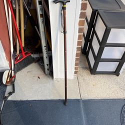 Cane Adjustable Light