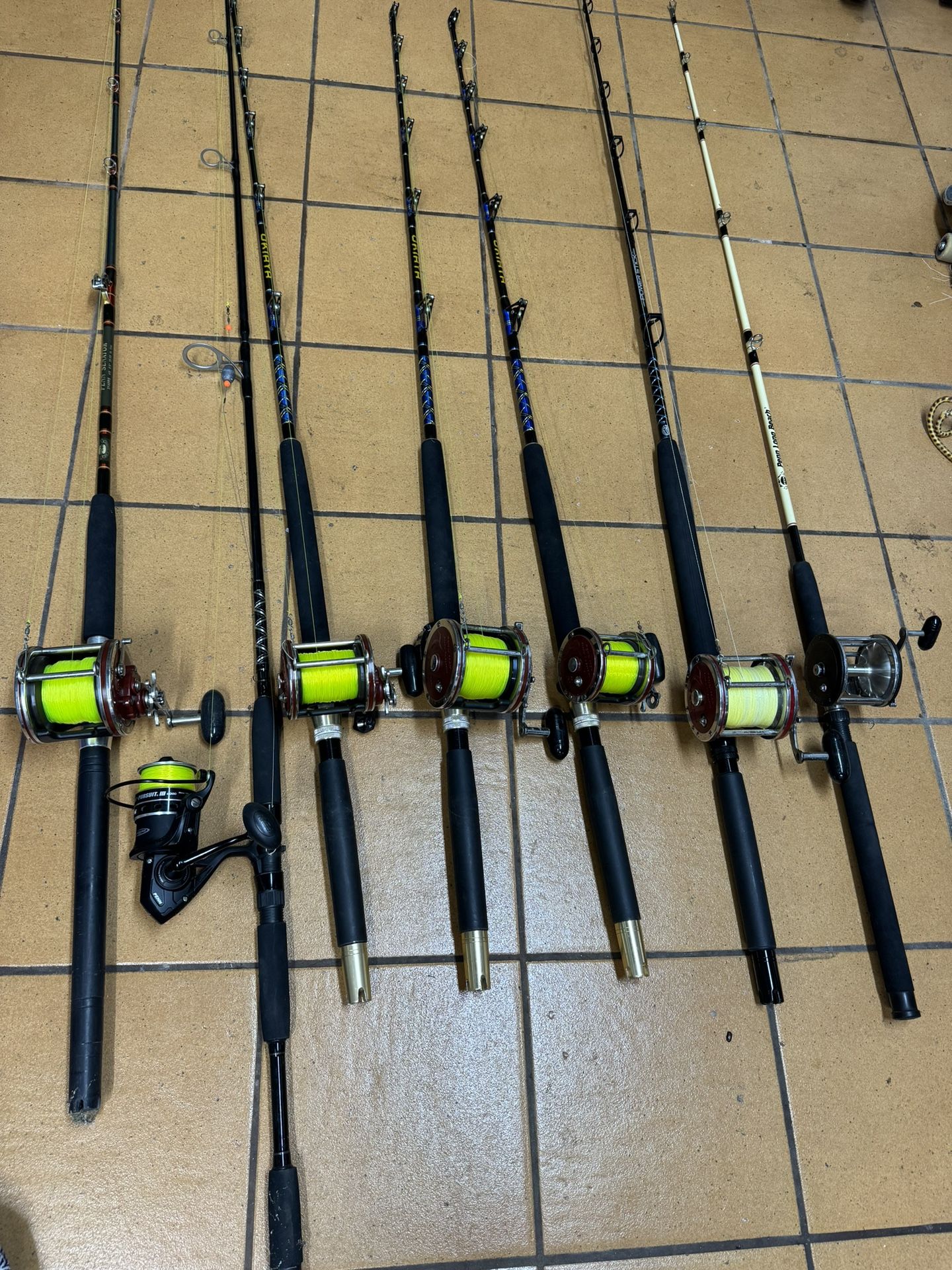 Fishing Rods And Gear Lot