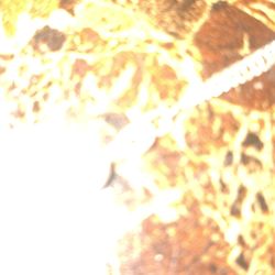 Two 925 silver chain