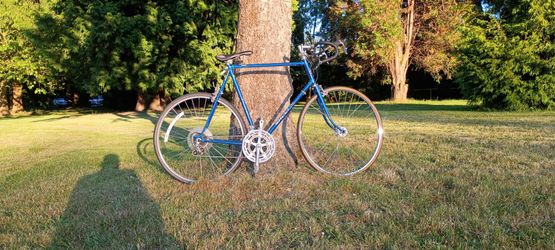 Shogun  Road bike   vintage