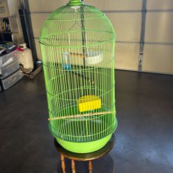 Bird  Cage