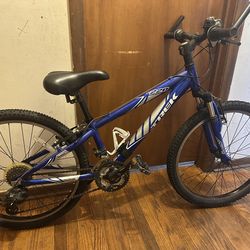 24” trek bike