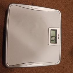 Scale