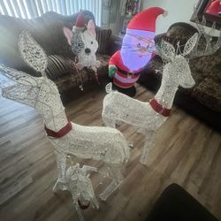 Christmas Reindeer’s For Sale 