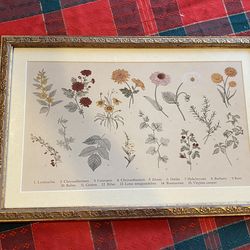 Pretty floral picture