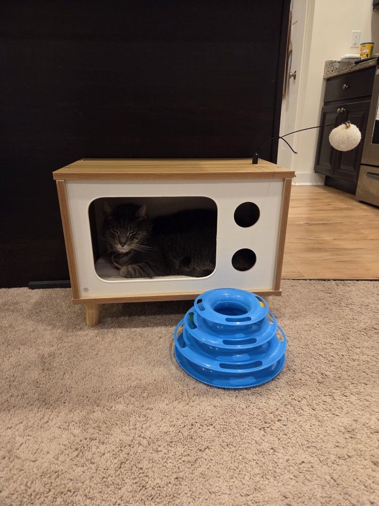 Cat Tv