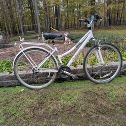 700x35 Schwinn Bicycle