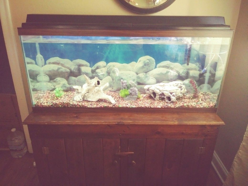 Fish Tank 60 Gallons $100 everything comes with it