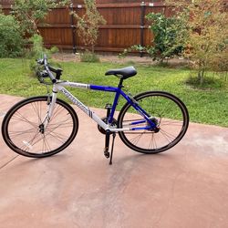 Hibird Schwinn Bicycle