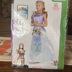 Zelda Custom 