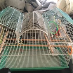 Bird Cage