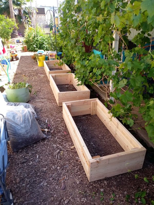 Soil Tips For Raised Beds University Of Arizona Soil Tips For Raised Beds University Of Arizona