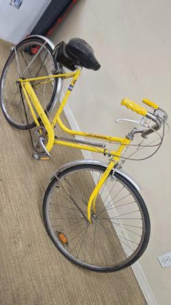 Schwinn 1973 all original