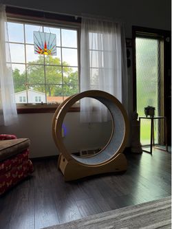 Cat treadmill