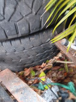 35x12x50r22 4 Tires 60$