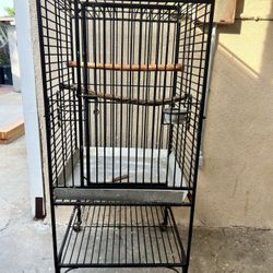 Bird Cage 