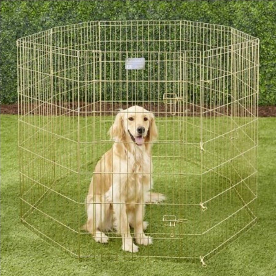 *NEW* MidWest Wire Dog Exercise Pen with Step-Thru Door, Gold Zinc, 42-in