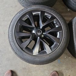 Tesla Wheels and Tires 20