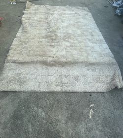 Area Rug 4x5