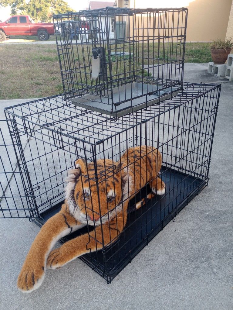 Dog Homes