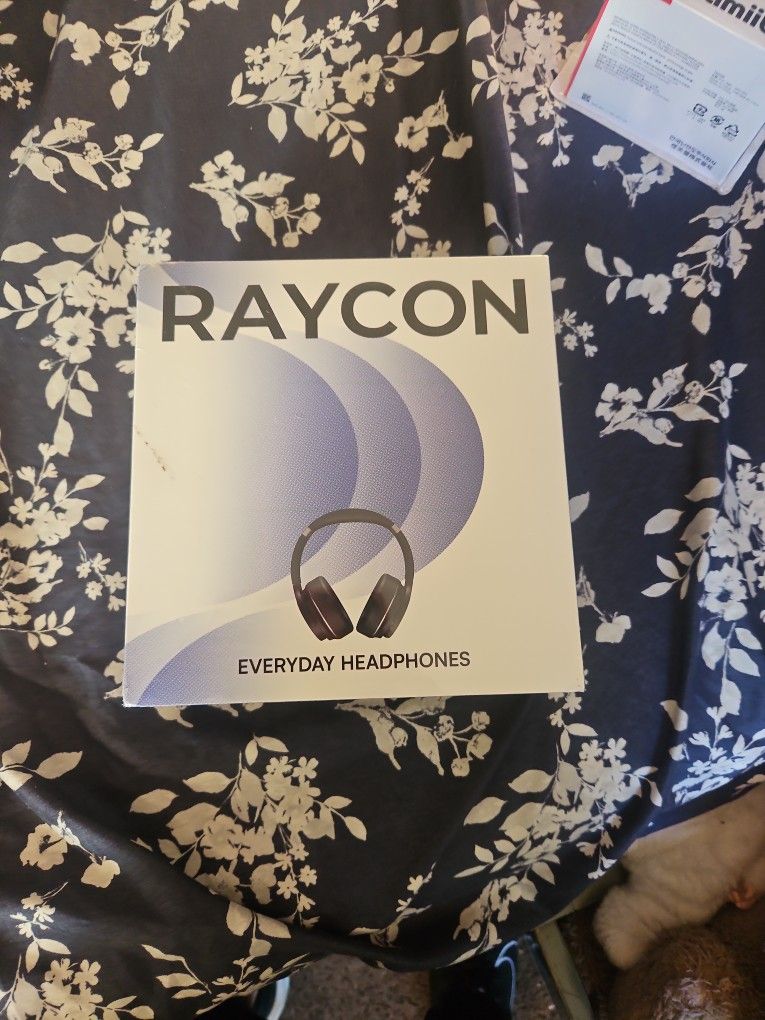 Raycon Everyday Headphones