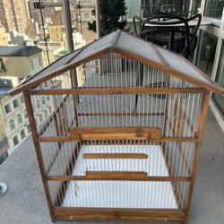 Bird cage 